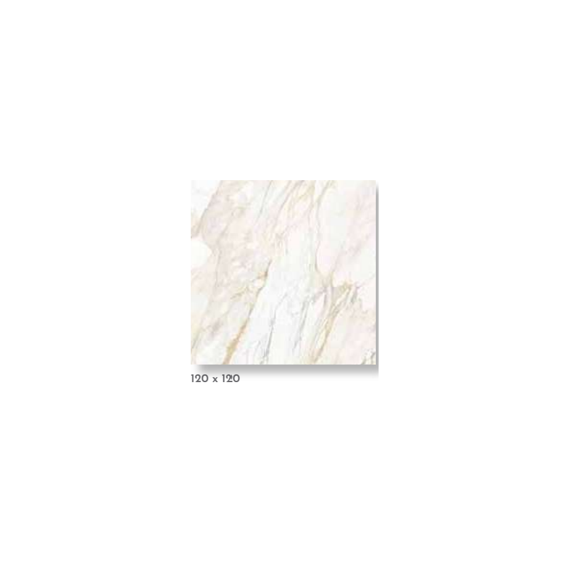 SPL 6MM CALACATA SILVER PUL 120X120 (4.32) TH5C2