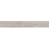 SPL 6MM CHALTEN GRIS SAT 22X160 (2.11) PTH20C2