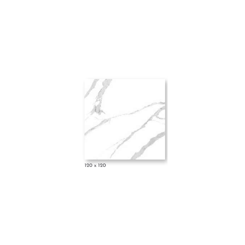 SPL 6MM CALACATA WHITE PUL 120X120 (4.32) TRD5CXX