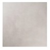 S.PIETRO GLORIA GRIS 53X53cm (2) P/PEDIDO