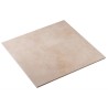 S.PIETRO GLORIA BEIGE 53X53cm (2) T1CIV