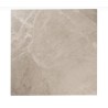 S.PIETRO CONTINENTAL GRIS BRILLANTE 53X53cm (2)P/PEDIDO