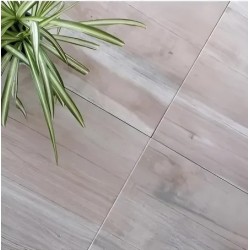 LOURDES EUCALIPTO BGE 56X56...