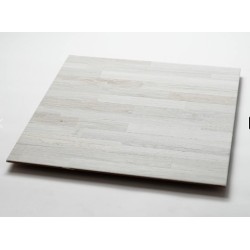 LOURDES LEÑO ALBINO 56X56 (2.17)