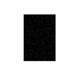 CAÑUELAS GLACIAR NEGRO BRILLANTE 42.5X42.5 (2.2)