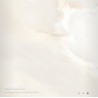 ALBERDI ONIX 60X60 PORCELANATO RECTIFICADO (1.65) T603C4