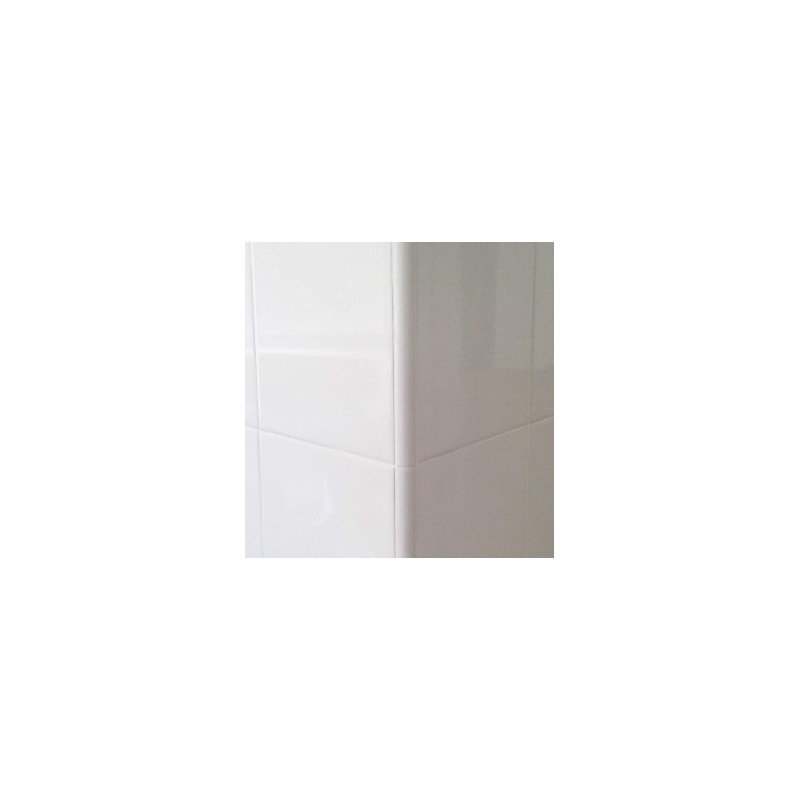 ACUARELA LAPIZ BRILLANTE BLANCO 1X20cm