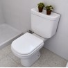 ASIENTO INODORO BARI FERRUM