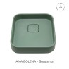 ARA DESIGN BACHA ANA BOLENA SUCULENTA