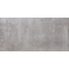 TENDENZA STEEL PORCELANICO RECTIFICADO 60X120 (1.44) T45 C05 P42