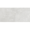 TENDENZA SILVERMOON PORCELANICO RECTIFICADO 60X120(1.44) T10P10
