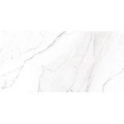 TENDENZA ASPEN PORCELANICO RECTIFICADO 60X120 (1.44) P/PEDIDO