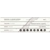 SPL 6MM STAR PUL 80X160 (3.8) TRDS01 C3001